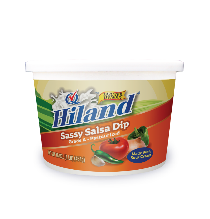 Sassy Salsa Dip