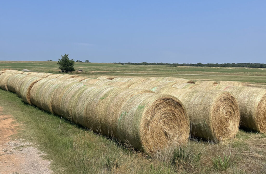 Rolls of hay at Hiland Dairy's Chandler, OK location