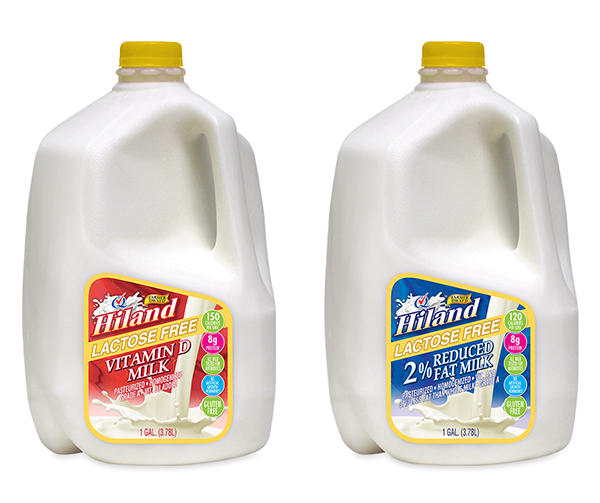 A gallon of lactose free whole milk next to a gallon of lactose free 2% milk