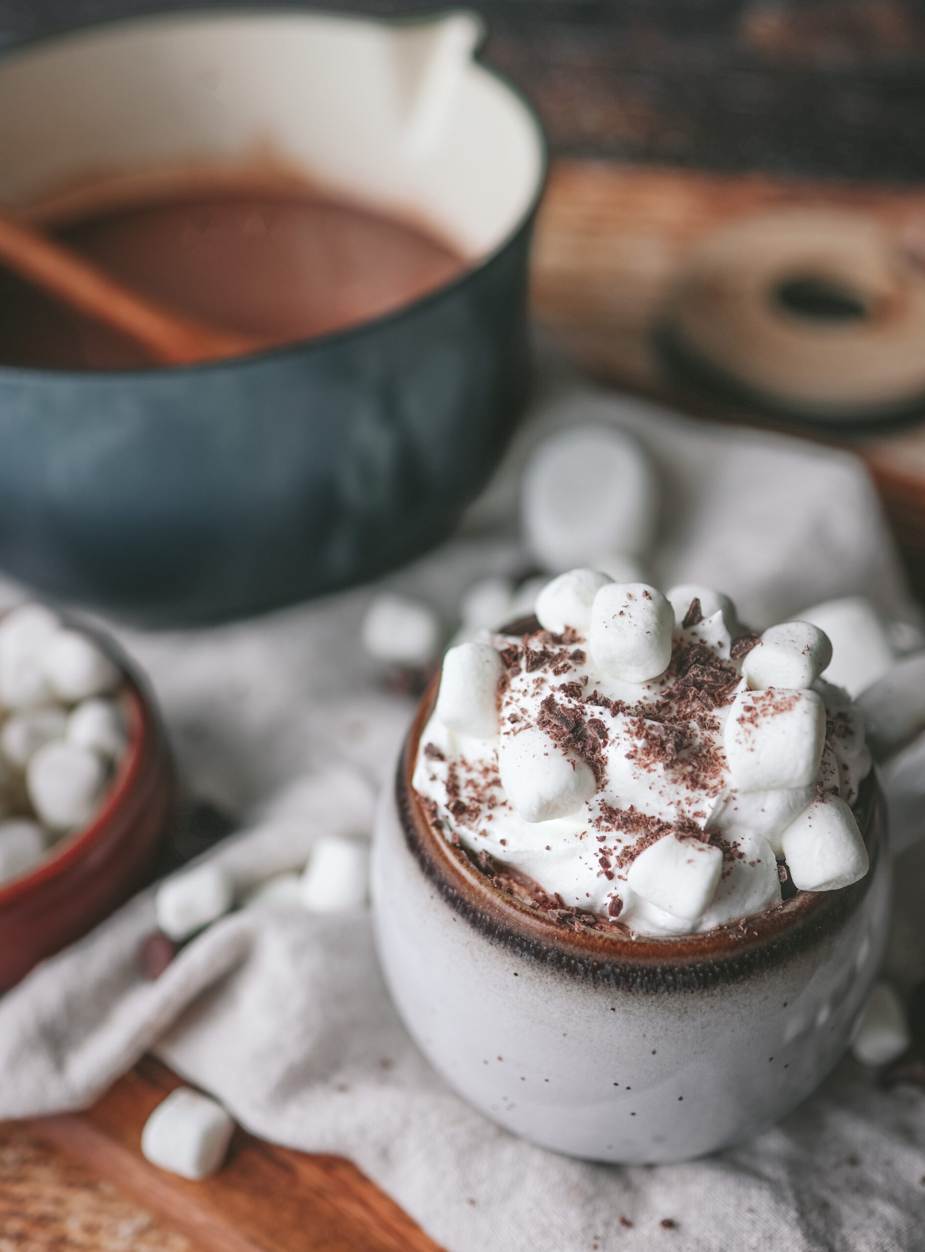 A close-up of a mug brimming with hot chocolate, topped with whipped cream and sprinkled with mini marshmallows and chocolate shavings. In the background is a pot of hot chocolate, adding to the warm, comforting vibe.