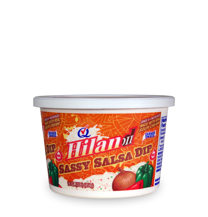 Sassy Salsa Dip