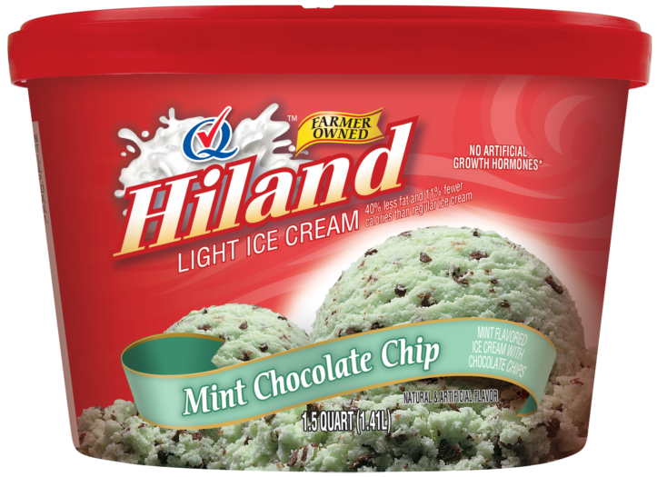 Mint Chip